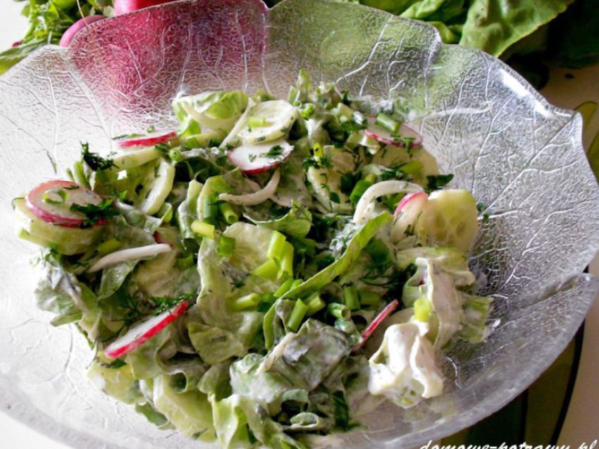 Sałata z rzodkiewką Sałata z rzodkiewką