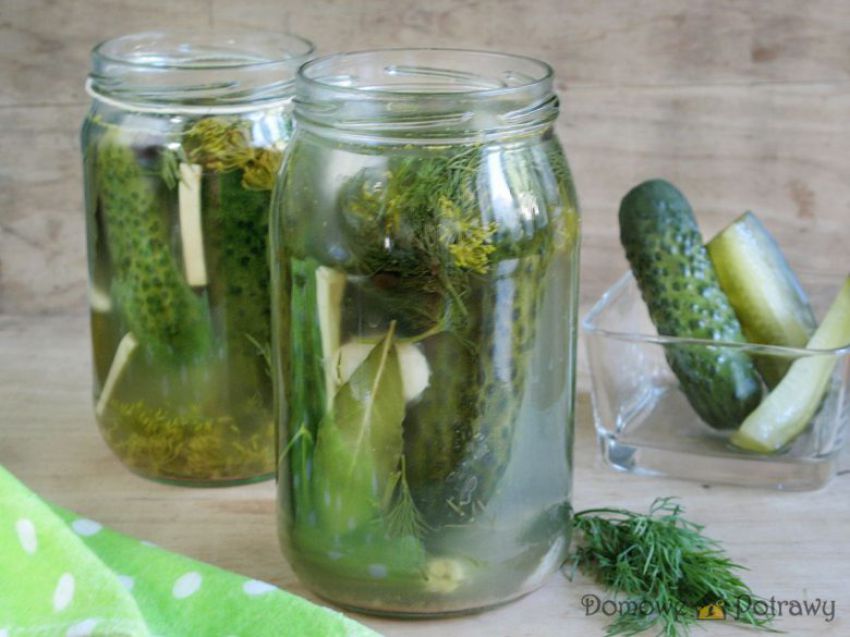 Ogórki małosolne Ogórki małosolne