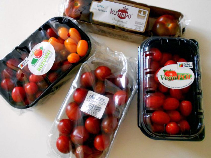 Pomidorowe szaleństwo "Tęcza smaku" Pomidorowe szaleństwo "Tęcza smaku"