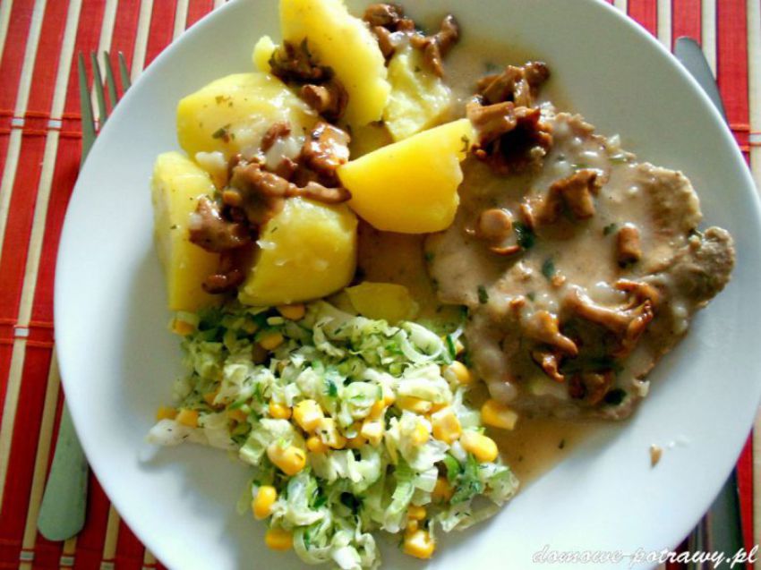 Schab w sosie śmietanowo-kurkowym Schab w sosie śmietanowo-kurkowym